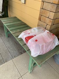 花田虎上『置きピザ』