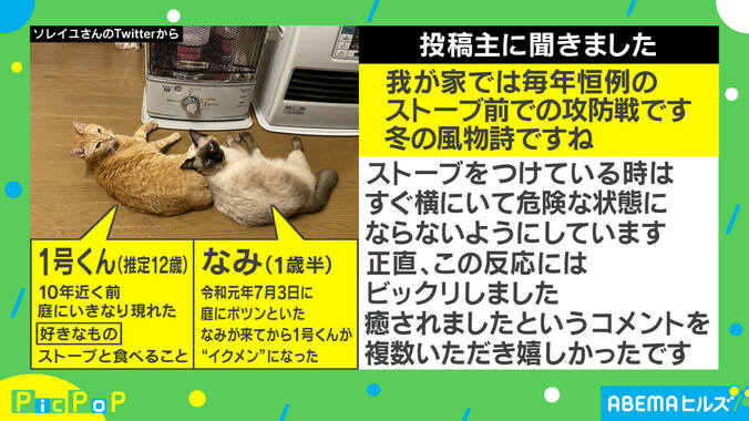 「つけてほしいニャ」ストーブを消された猫の訴え！ 可愛すぎる4コマ写真の投稿主を取材 2枚目