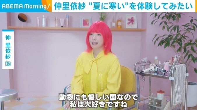 仲里依紗
