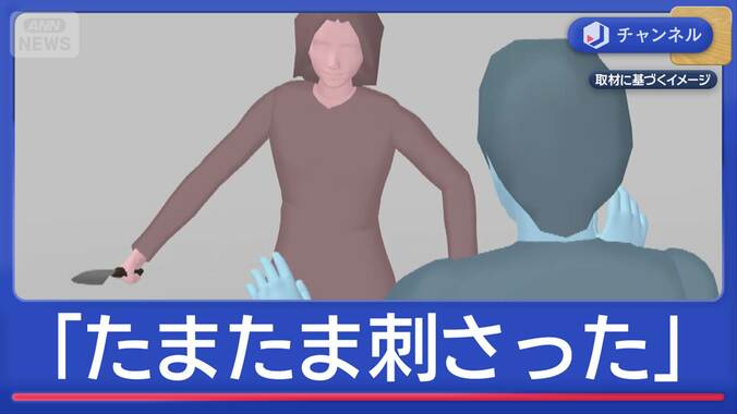 母親「包丁がたまたま刺さった」38歳の息子に刺し傷 1枚目
