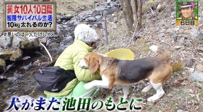 サバイバル中、犬にズボンを脱がされ…？　彼氏いない歴＝年齢の女性タレントに質問殺到！ 2枚目