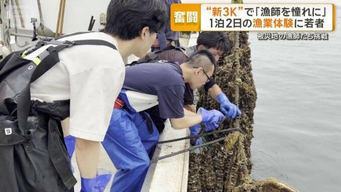 1泊2日のカキ養殖体験