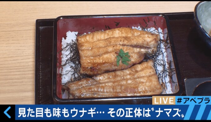 土用の丑の日は”ウナギ味のナマズ”　近畿大が食文化に革命を 1枚目