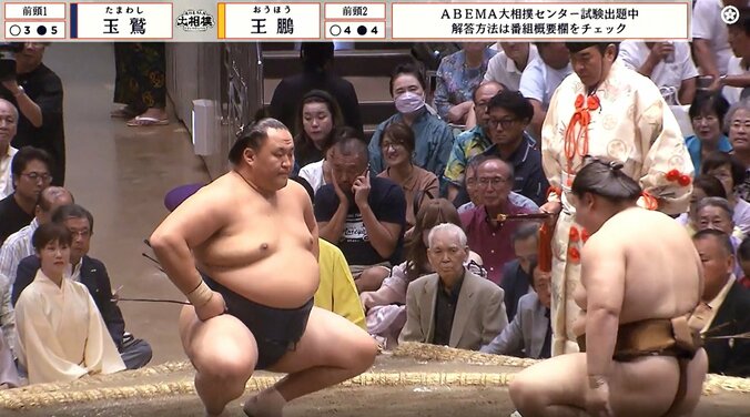 女流落語界における若手噺家のホープで人気のある蝶花楼桃花さん