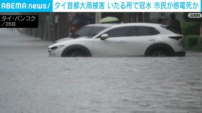 現地の様子