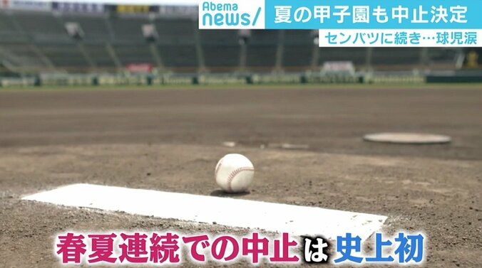 春夏連続の甲子園中止…球児救済に「独自大会」の動きも 松坂投手はWebサイト創設を提案 1枚目