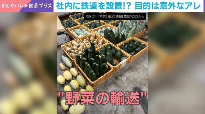 野菜