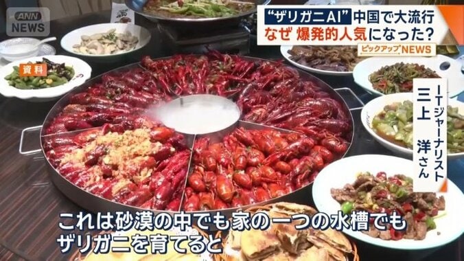 なぜここまで急速に広がったのか？