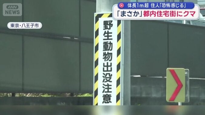 「野生動物出没注意」の看板