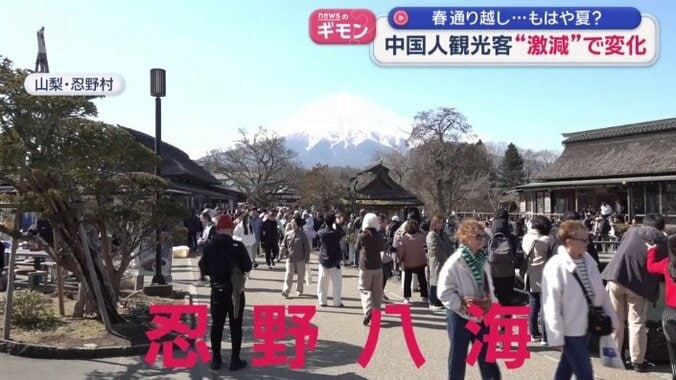 山梨・忍野八海