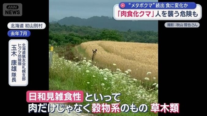 クマは雑食
