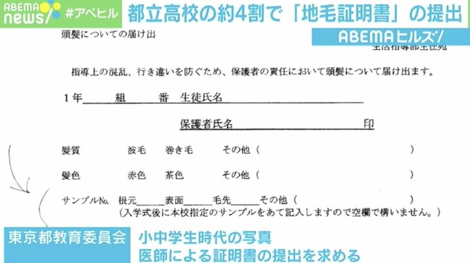“黒髪以外は罪である” 都立高校4割が提出「地毛証明書」に物議 令和まで残ってしまった歪な校則 2枚目