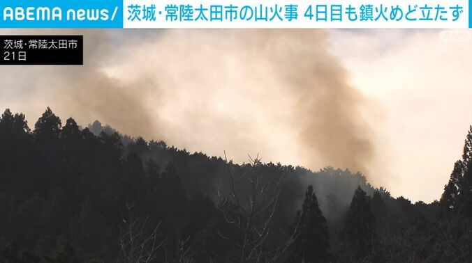 煙が立ち上る山林の様子