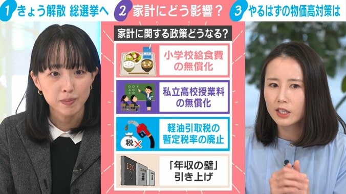 家計に関する政策どうなる？