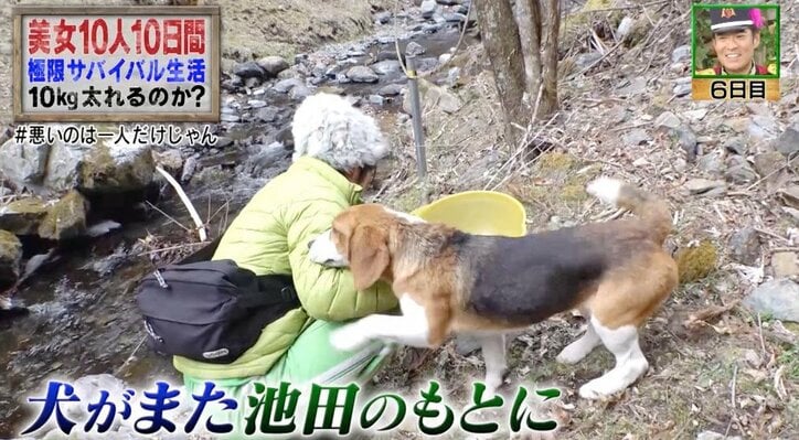 サバイバル中、犬にズボンを脱がされ…？　彼氏いない歴＝年齢の女性タレントに質問殺到！