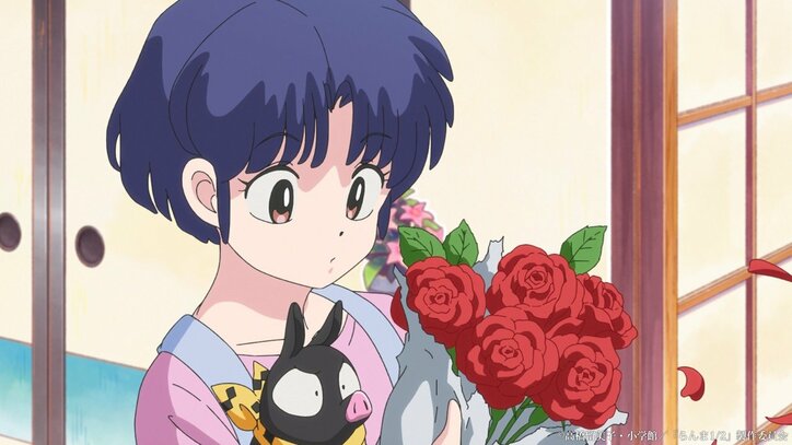 [Photos/Images] Ranma, Akane, and Shampoo Enter the "Martial Arts Delivery Race"! Anime "Ranma 1/2" Episode 17 Preview Cuts and Synopsis Released 3rd