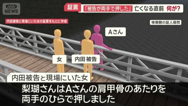 「被告が両手で押した」