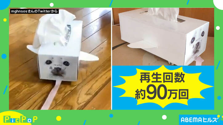 「アザラシが飼いたい」夢を叶えた？ 8歳娘のゆる～い工作にほっこり