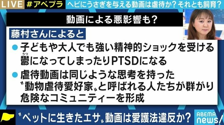 “生きたエサ食べさせる動画” 一体どこまで制限すべき? YouTuberを刑事告発した動物愛護団体代表と議論