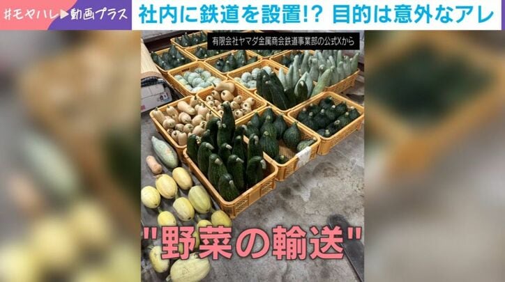 野菜