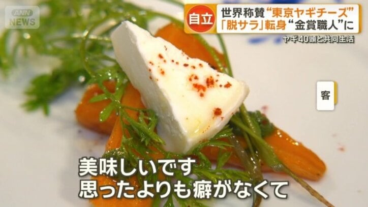 ヤギのチーズを使った野菜サラダ