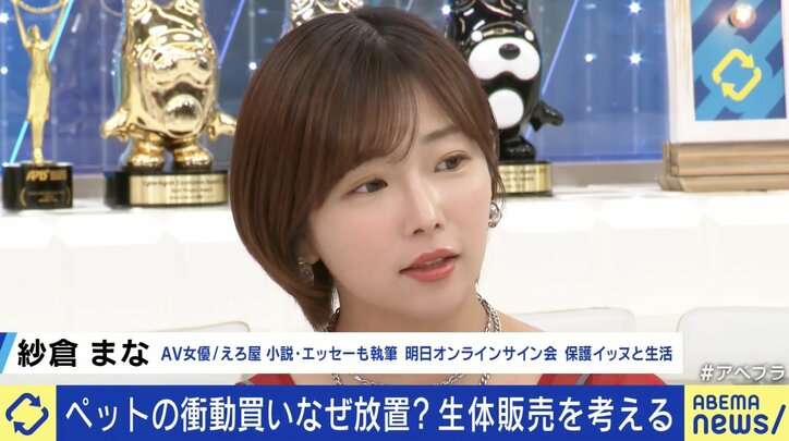 【写真・画像】なくならない犬猫の殺処分…ペットショップとの関係は？ “飼う”と“繁殖”の分離が課題？ 「生体販売」を考える　4枚目