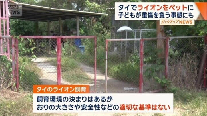 安全性について適切な基準はない