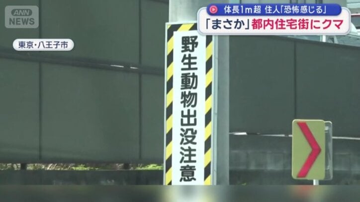 「野生動物出没注意」の看板