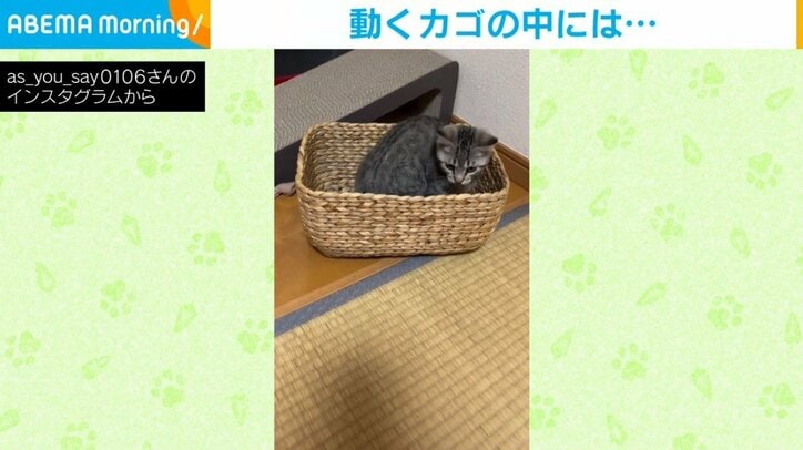 【写真・画像】 2枚目