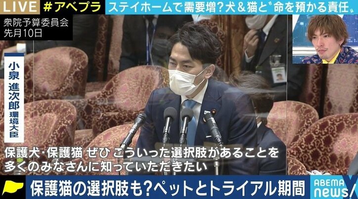 「飼ってみたら匂いと鳴き声が…」コロナ禍に買われた犬猫の放棄が急増? ペットショップでの販売はやめるべきか