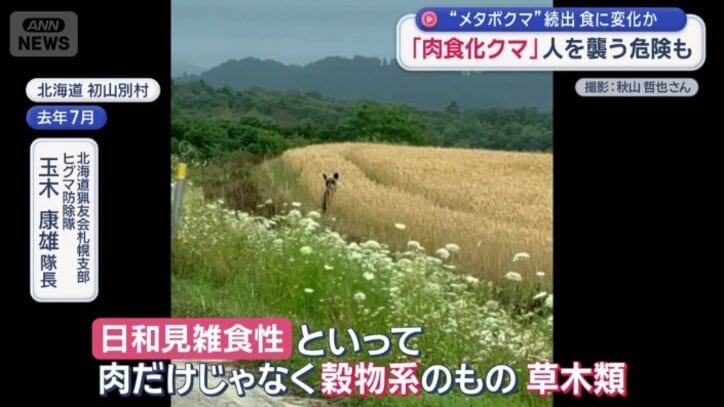 クマは雑食
