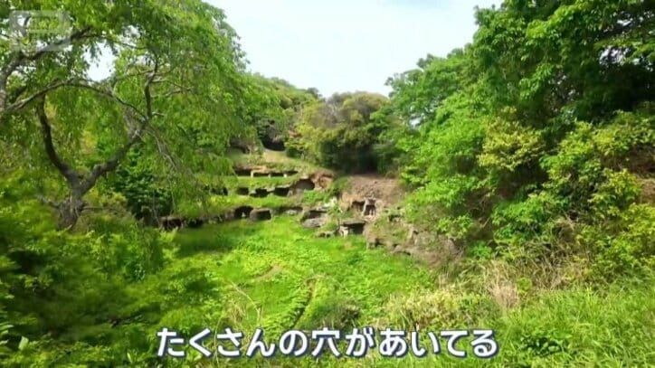 たくさんの穴が