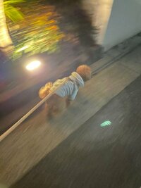 内海和子『大活躍のダウン』