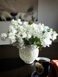 稲垣吾郎『感謝!』