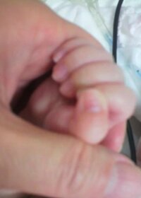 野田聖子『連休』