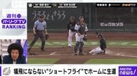 犠飛にならない“ショートフライ” 見る者困惑のプレー