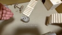 【映像】ハムスターが「トコトコ」足音立てて二足歩行