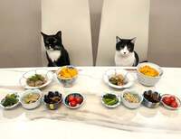 藤あや子『おうちごはん』