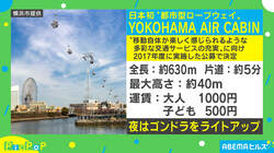 日本初の“常設都市型ロープウェイ”が横浜に誕生 建築家・サリー楓氏、今後の都市開発は「移動手段にも着目」