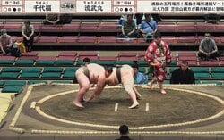 どうしてそうなった？ “あんこ型”力士が偶然同じポーズ どこか不思議なシンクロ珍光景にファンほっこり