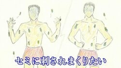 セミは人を刺す？130匹用意した“徹底検証”にオダギリジョー「今年1番の衝撃映像…これ放送するんですか？（笑）」