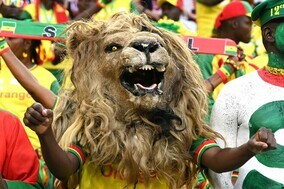 「陽気すぎ」「めっちゃリアル」セネガル応援席に出現した“ライオン”が大反響！元日本代表FWも爆笑【W杯A組】