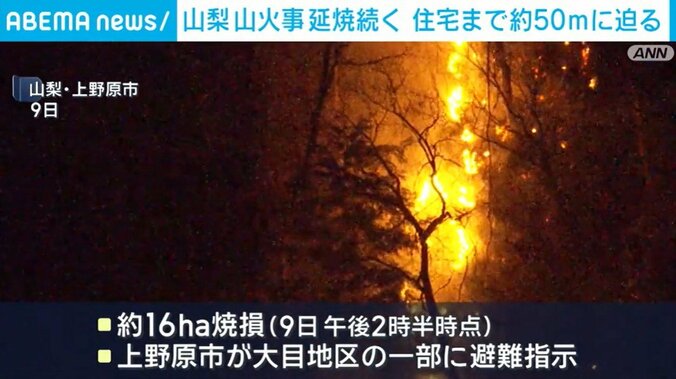 山梨・上野原市