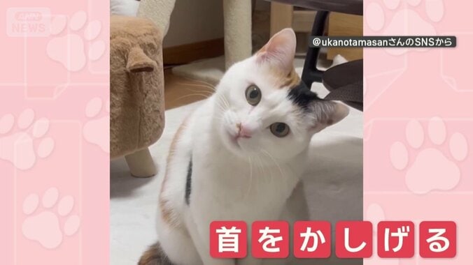 首をかしげてお返事