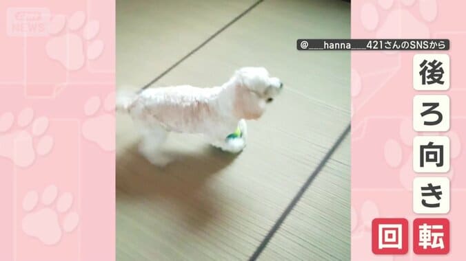 後ろ向きで回転も！