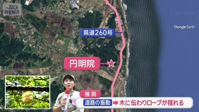 久保田アナの推測は…