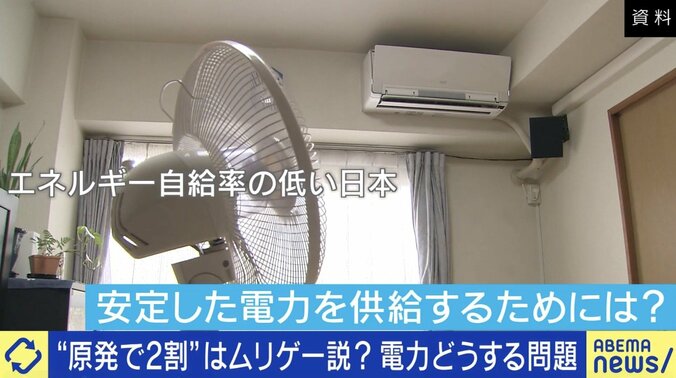 日本は電力どう賄う？