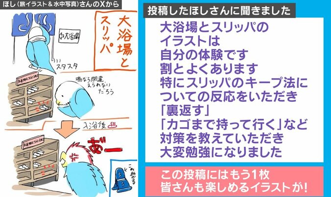 ほしさんの投稿