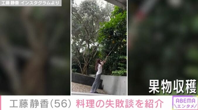工藤静香、自宅の庭