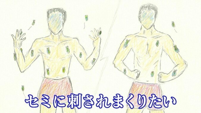 探偵！ナイトスクープ